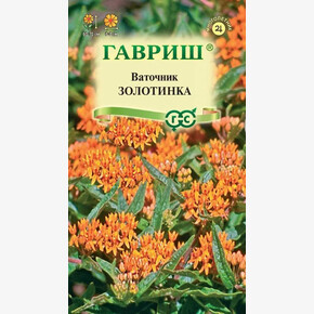 Ваточник Золотинка /Гавриш