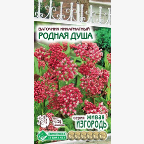 Ваточник РОДНАЯ ДУША инкарнатный 0,1 гр/ Евросемена