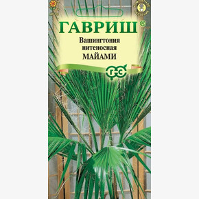 Вашингтония Майами /Гавриш