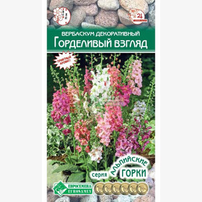 Вербаскум декоративный Горделивый Взгляд/ Евросемена