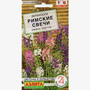 Вербаскум Римские свечи 0,05г/ Аэлита