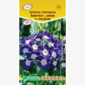Вербена Аметист, синяя с глазком (10 шт)/ Евросемена