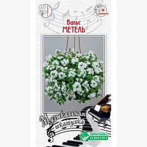 Вербена Вальс Метель 5шт/ Евросемена