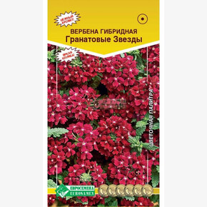 Вербена Гранатовые Звзеды/ Евросемена