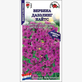 Вербена Даззлинг Найтс /Сотка/ 5шт/*500