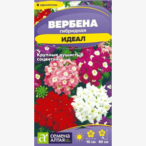 Вербена Идеал /Сем Алт/цп 0,05 гр.