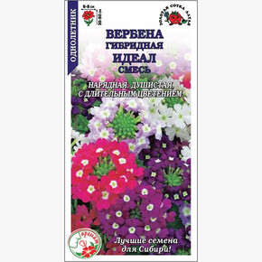 Вербена Идеал гибрид /Сотка/