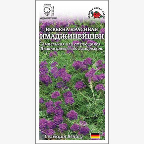 Вербена Имаджинейшен /Сотка/ 10 шт