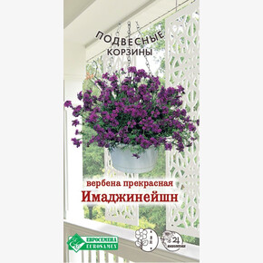 Вербена Имаджинейшен/ Евросемена