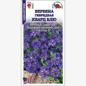 Вербена Кварц Блу/ Сотка