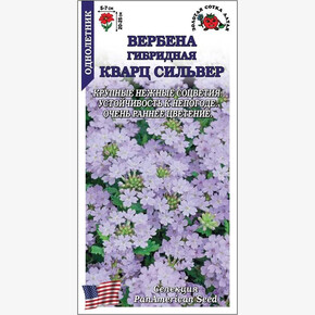 Вербена Кварц Сильвер /Сотка/ 5 шт