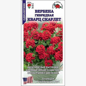 Вербена Кварц Скарлет /Сотка/ 5 шт