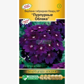 Вербена Кварц XP Пурпурные Облака/ Евросемена 5шт