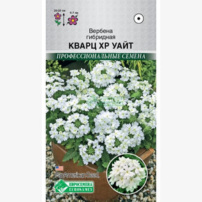 Вербена КВАРЦ XP Уайт гибридная (10 шт)/ Евросемена