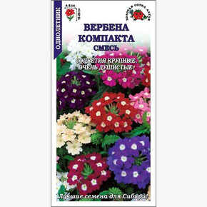 Вербена Компакта /Сотка