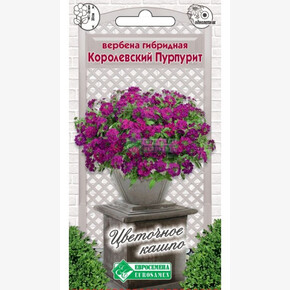 Вербена КОРОЛЕВСКИЙ ПУРПУРИТ гибридная 0,1 гр/ Евросемена