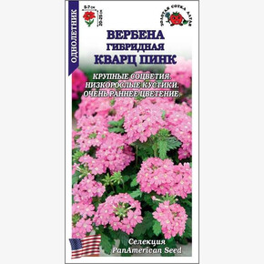 Вербена Кравц Пинк/ Сотка 5шт