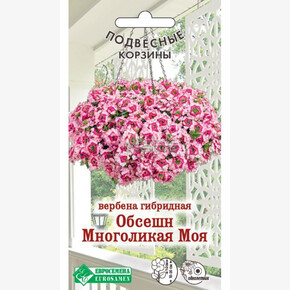 Вербена ОБСЕШН Многоликая моя гибридная 10 шт/ Евросемена