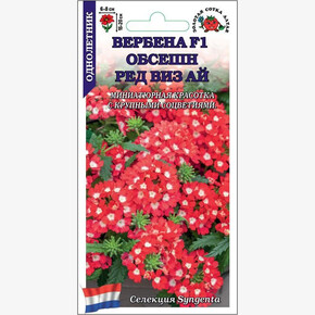 Вербена Обсешн Ред Виз Ай /Сотка/ 5 шт