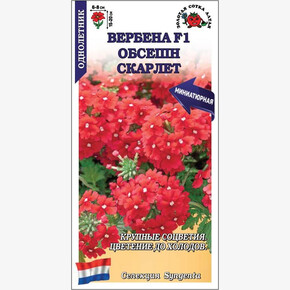 Вербена Обсешн Скарлет /Сотка/ 5шт