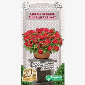 Вербена Обсешн Скарлет 10шт/ Евросемена