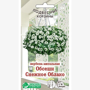 Вербена ОБСЕШН Снежное Облако 3 шт/ Евросемена