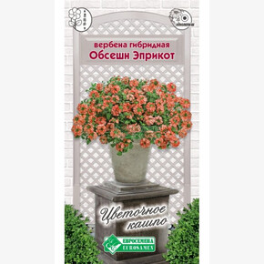 Вербена ОБСЕШН ЭПРИКОТ 10 шт/ Евросемена