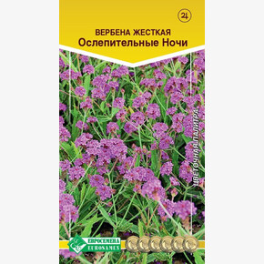 Вербена ОСЛЕПИТЕЛЬНЫЕ НОЧИ жесткая 5 шт/ Евросемена