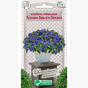Вербена ТУСКАНИ БРЫЗГИ ОКЕАНА гибридная 8 шт/ Евросемена