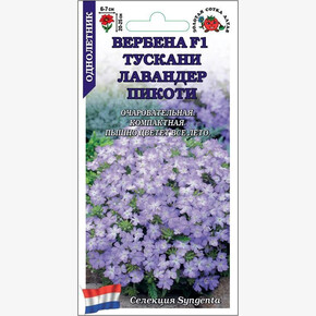 Вербена Тускани Лавандер Пикоти /Сотка/ 5 шт