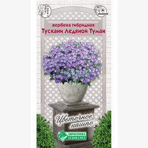 Вербена ТУСКАНИ Ледяной Туман гибридная 10 шт/ Евросемена
