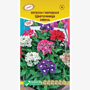 Вербена ЦВЕТОЧНИЦА 20 шт 1063/ Евросемена