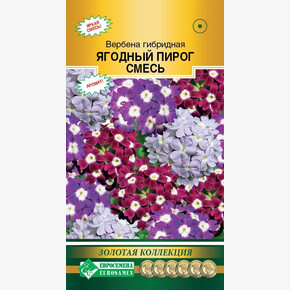 Вербена Ягодный Пирог смесь 10шт/ Евросемена