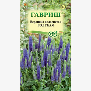 Вероника Голубая/ Гавриш
