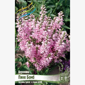 ВЕРОНИКА ПИНК БОМБ