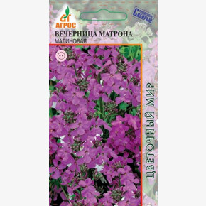 Вечерница Матрона малиновая 0.3г*