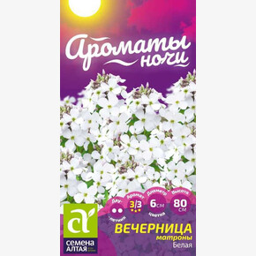 Вечерница Матроны Белая/ Семена Алтая 0,3 гр. двулетник Ароматы ночи