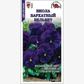 Виола Бархатный вельвет /Сотка/ фиолет.