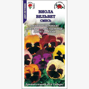 Виола Вельвет/ Сотка