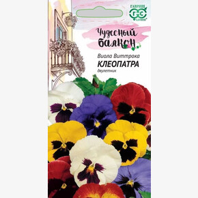 Виола Виттрока Клеопатра/ Гавриш