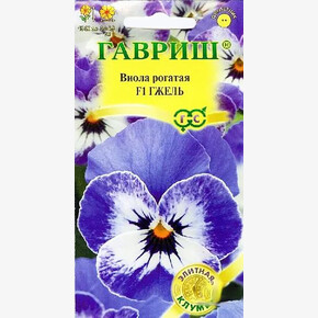 Виола Гжель/ Гавриш