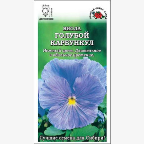 Виола Голубой Карбункул /Сотка/!