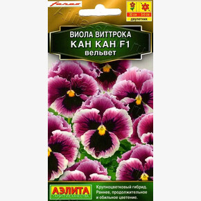 Виола Кан Кан Вельвет/ Аэлита