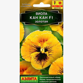 Виола Кан Кан Золотая/ Аэлита
