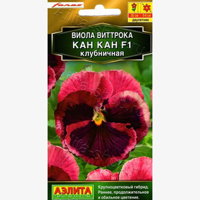 Виола Кан Кан Клубничная/ Аэлита