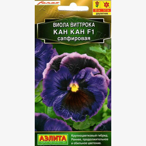 Виола Кан Кан Сапфировая/ Аэлита