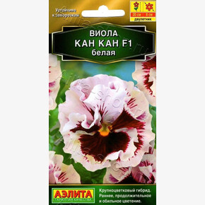 Виола Кан-кан Белая /Аэлита/7шт
