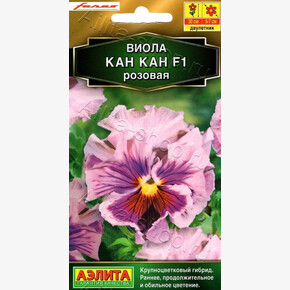 Виола Кан-кан Розовая /Аэлита/7шт