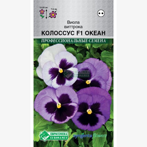 Виола КОЛОССУС ОКЕАН Виттрока 5 шт/ Евросемена