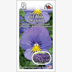 Виола Кул вейв Блу скай /Сотка/ 5 шт/*350